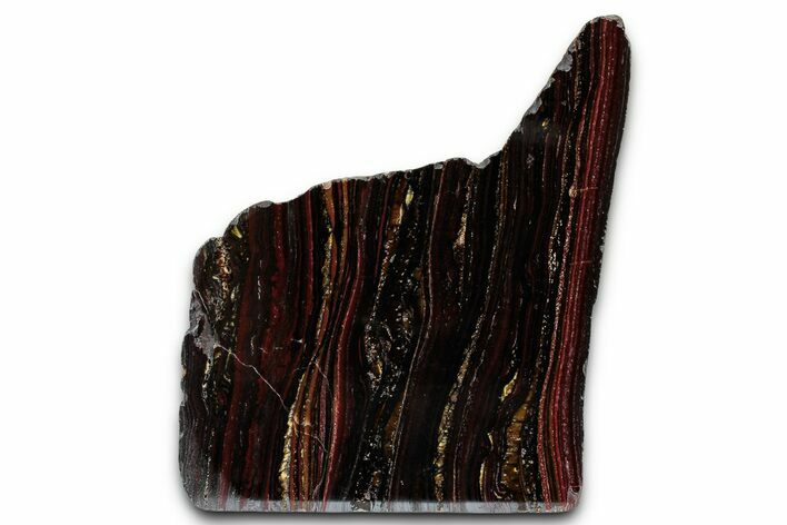 Polished Tiger Iron Stromatolite Section - Billion Years #353265